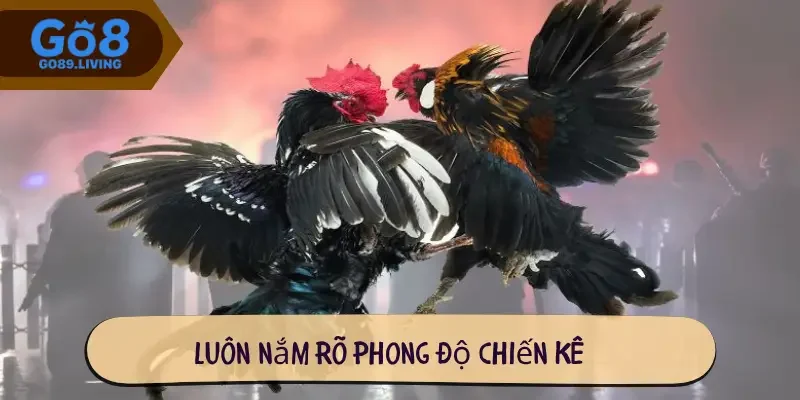 Luôn nắm rõ phong độ chiến kê
