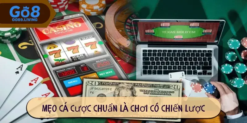 Mẹo cá cược chuẩn là chơi có chiến lược